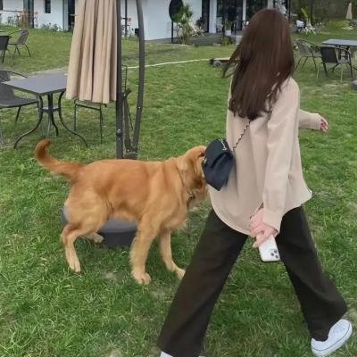 浩劫妙冤家